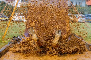 LR001-20220903-IMG_8075-MhPh-220903