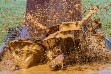 LR001-20220903-IMG_8079-MhPh-220903