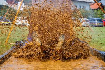 LR012-220903-20220903-IMG_8075-MhPh