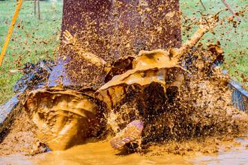 LR013-220903-20220903-IMG_8079-MhPh