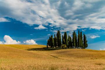 LR012-MhPh105-IMG_2233-160610