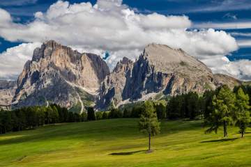 LR017-20190814-IMG_9976-MhPh-190814