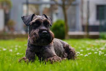 LR004-001-IMG00263-230402-230402