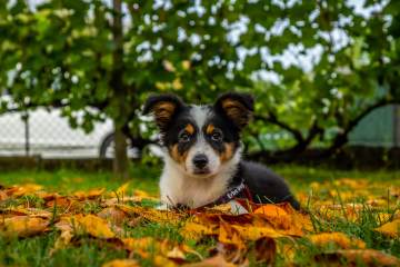 LR005-20210823-IMG_1404-MhPh-210823