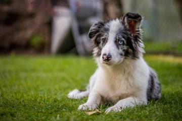 LR006-20200909-IMG_0990-MhPh-200909