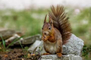 LR008-20190518-IMG_4291-MhPh-190518