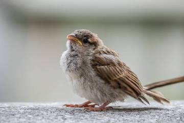 LR009-20200531-IMG_8034-MhPh-200531